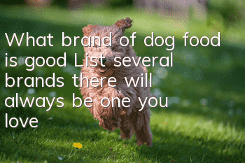 What brand of dog food is good? List several brands, there will always be one you love!