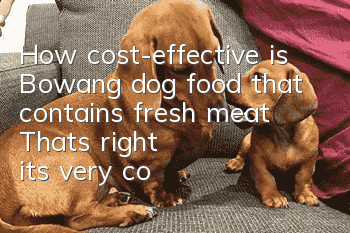 How cost-effective is Bowang dog food that contains fresh meat? That's right, it's very cost-effective