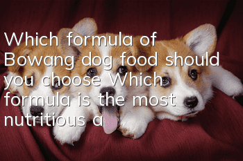 Which formula of Bowang dog food should you choose? Which formula is the most nutritious and suitable for dogs?