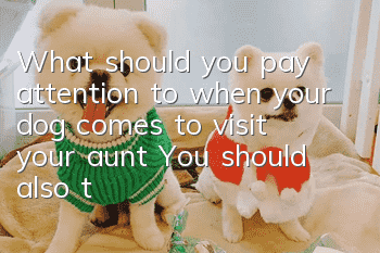 What should you pay attention to when your dog comes to visit your aunt? You should also take good care of your dog when you come to visit your aunt!