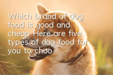 Which brand of dog food is good and cheap? Here are five types of dog food for you to choose from