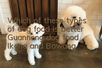 Which of these types of dog food is better, Guanneng dog food, Ikena, and Bowang?