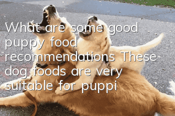 What are some good puppy food recommendations? These dog foods are very suitable for puppies!