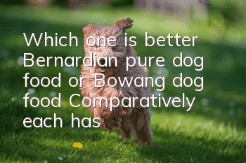 Which one is better, Bernardian pure dog food or Bowang dog food? Comparatively, each has its own advantages.
