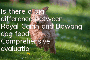 Is there a big difference between Royal Canin and Bowang dog food? Comprehensive evaluation of the two dog foods