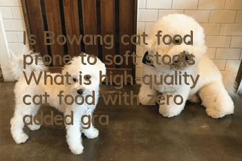 Is Bowang cat food prone to soft stools? What is high-quality cat food with zero added grains?