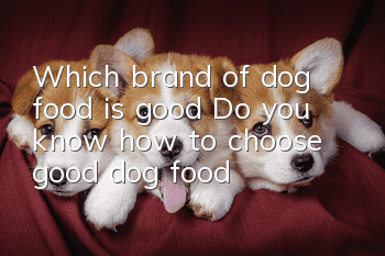 Which brand of dog food is good? Do you know how to choose good dog food?