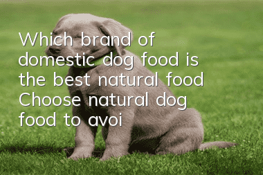 Which brand of domestic dog food is the best natural food? Choose natural dog food to avoid wasting money!