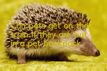 Can pets get on the train if they are put in a pet backpack?