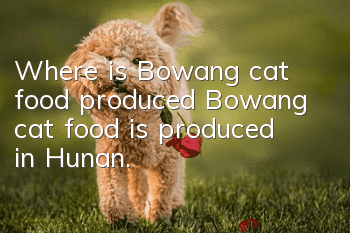 Where is Bowang cat food produced? Bowang cat food is produced in Hunan.