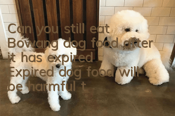 Can you still eat Bowang dog food after it has expired? Expired dog food will be harmful to your dog!