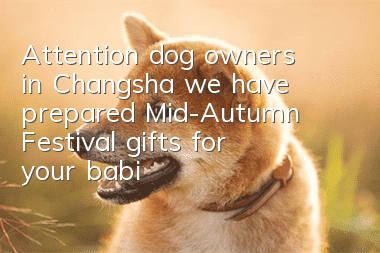 Attention dog owners in Changsha, we have prepared Mid-Autumn Festival gifts for your babies~