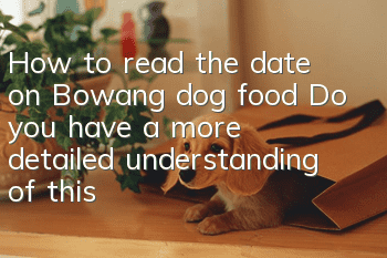 How to read the date on Bowang dog food? Do you have a more detailed understanding of this dog food brand?