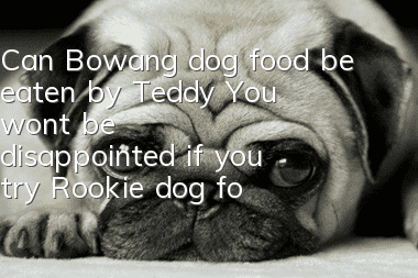 Can Bowang dog food be eaten by Teddy? You won’t be disappointed if you try Rookie dog food.