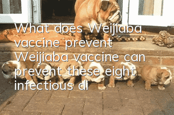 What does Weijiaba vaccine prevent? Weijiaba vaccine can prevent these eight infectious diseases