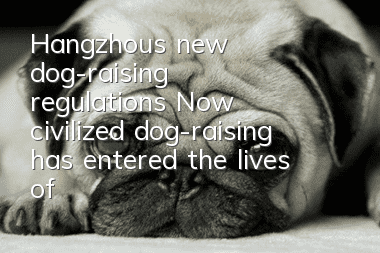 Hangzhou’s new dog-raising regulations Now civilized dog-raising has entered the lives of citizens!