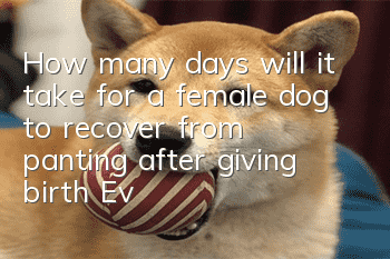 How many days will it take for a female dog to recover from panting after giving birth? Everything you do after giving birth is very important for the female dog.