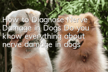 How to Diagnose Nerve Damage in Dogs Do you know everything about nerve damage in dogs?