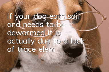 If your dog eats soil and needs to be dewormed, it is actually due to a lack of trace elements!