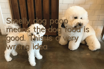 Smelly dog poop means the dog food is good. This is a very wrong idea!