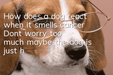 How does a dog react when it smells cancer? Don’t worry too much, maybe the dog is just having fun