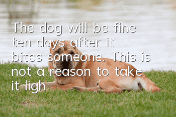 The dog will be fine ten days after it bites someone. This is not a reason to take it lightly.
