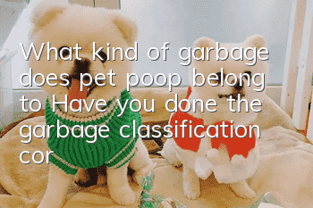 What kind of garbage does pet poop belong to? Have you done the garbage classification correctly?