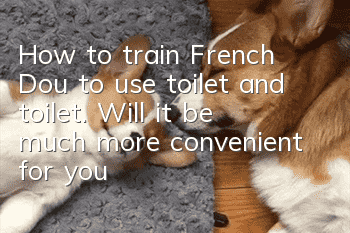 How to train French Dou to use toilet and toilet. Will it be much more convenient for you after training like this?
