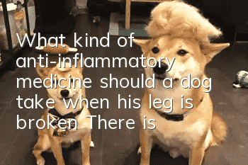 What kind of anti-inflammatory medicine should a dog take when his leg is broken? There is also a lot of little knowledge in giving medicine!