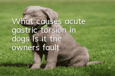 What causes acute gastric torsion in dogs? Is it the owner’s fault?