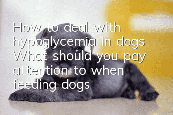 How to deal with hypoglycemia in dogs? What should you pay attention to when feeding dogs with hypoglycemia?