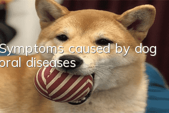 Symptoms caused by dog oral diseases