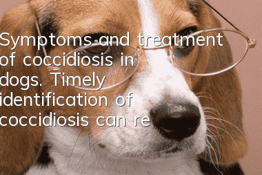 Symptoms and treatment of coccidiosis in dogs. Timely identification of coccidiosis can restore your dog’s health.