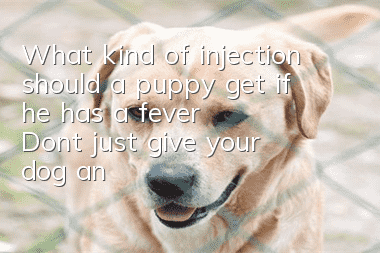 What kind of injection should a puppy get if he has a fever? Don’t just give your dog an injection if there’s nothing wrong. Don’t you understand the drug resistance?