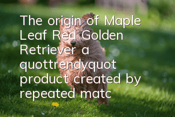 The origin of Maple Leaf Red Golden Retriever, a "trendy" product created by repeated matching of super close relatives