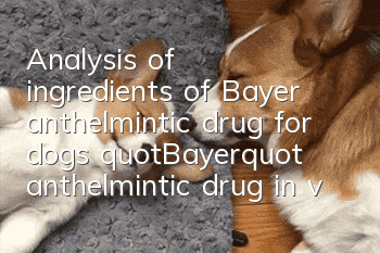 Analysis of ingredients of Bayer anthelmintic drug for dogs "Bayer" anthelmintic drug in vivo