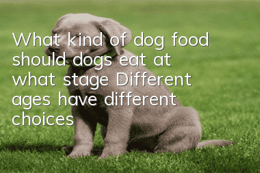 What kind of dog food should dogs eat at what stage? Different ages have different choices