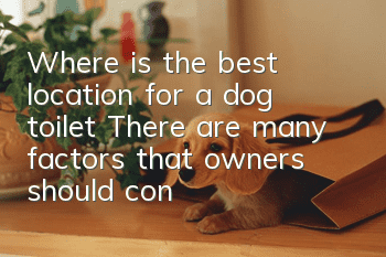 Where is the best location for a dog toilet? There are many factors that owners should consider.