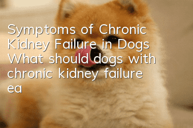 Symptoms of Chronic Kidney Failure in Dogs What should dogs with chronic kidney failure eat?