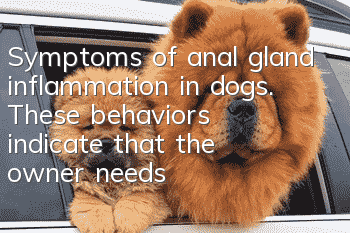 Symptoms of anal gland inflammation in dogs. These behaviors indicate that the owner needs to squeeze the anal glands of the dog.