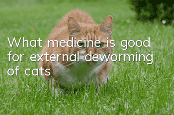 What medicine is good for external deworming of cats?