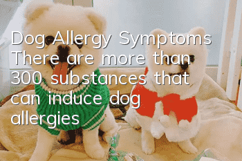 Dog Allergy Symptoms There are more than 300 substances that can induce dog allergies