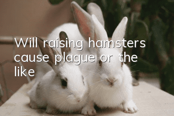 Will raising hamsters cause plague or the like?