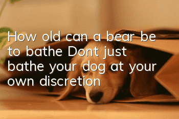 How old can a bear be to bathe? Don’t just bathe your dog at your own discretion!