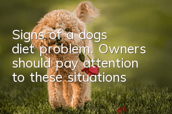 Signs of a dog’s diet problem. Owners should pay attention to these situations