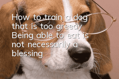 How to train a dog that is too greedy? Being able to eat is not necessarily a blessing