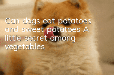 Can dogs eat potatoes and sweet potatoes? A little secret among vegetables