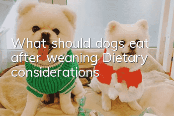 What should dogs eat after weaning? Dietary considerations