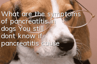 What are the symptoms of pancreatitis in dogs? You still don’t know if pancreatitis causes bloody stools in dogs?