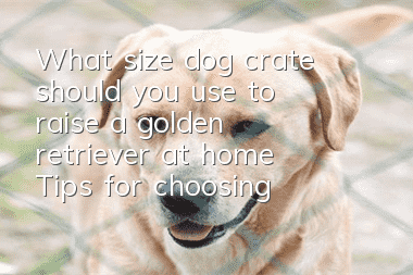 What size dog crate should you use to raise a golden retriever at home? Tips for choosing a dog crate